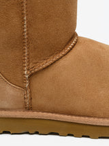 Botas UGG Classic Short