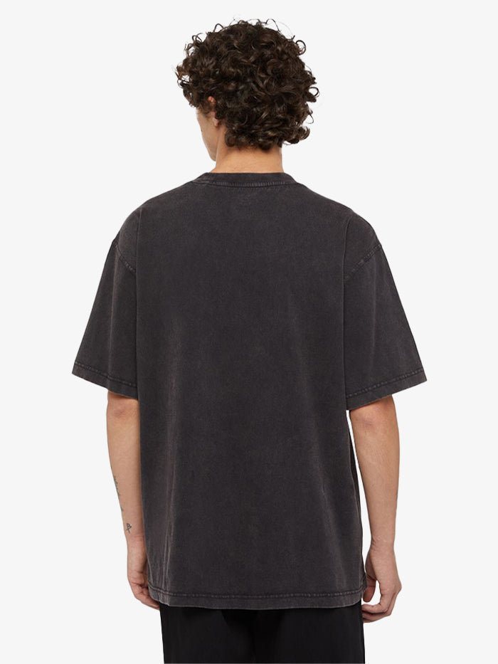 Camiseta Dickies Plentywood