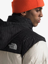 Chaqueta North Face Retro Nupse 1996
