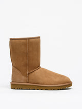 Botas UGG Classic Short