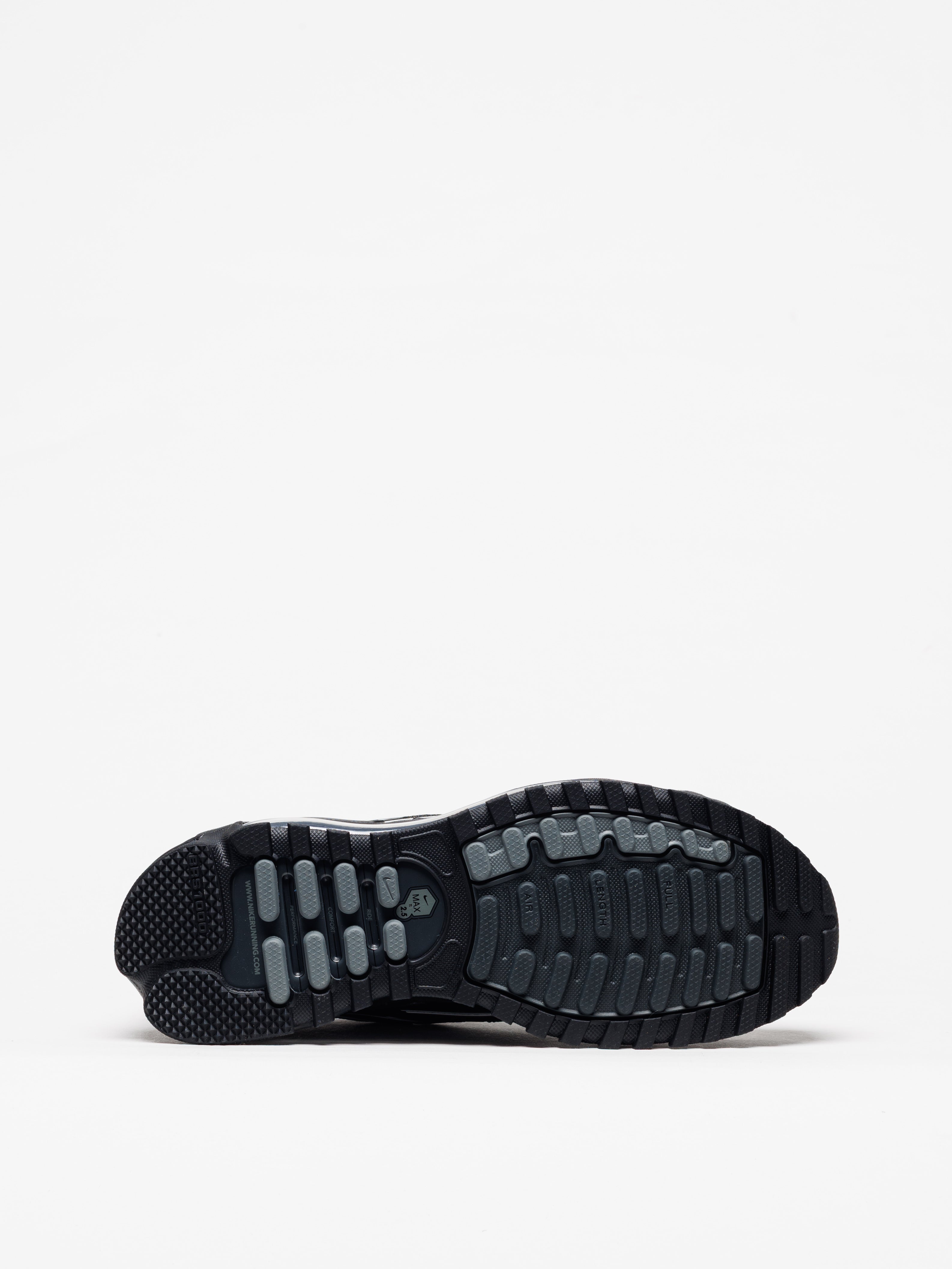 Sapatilhas Nike Air Max TL 2.5