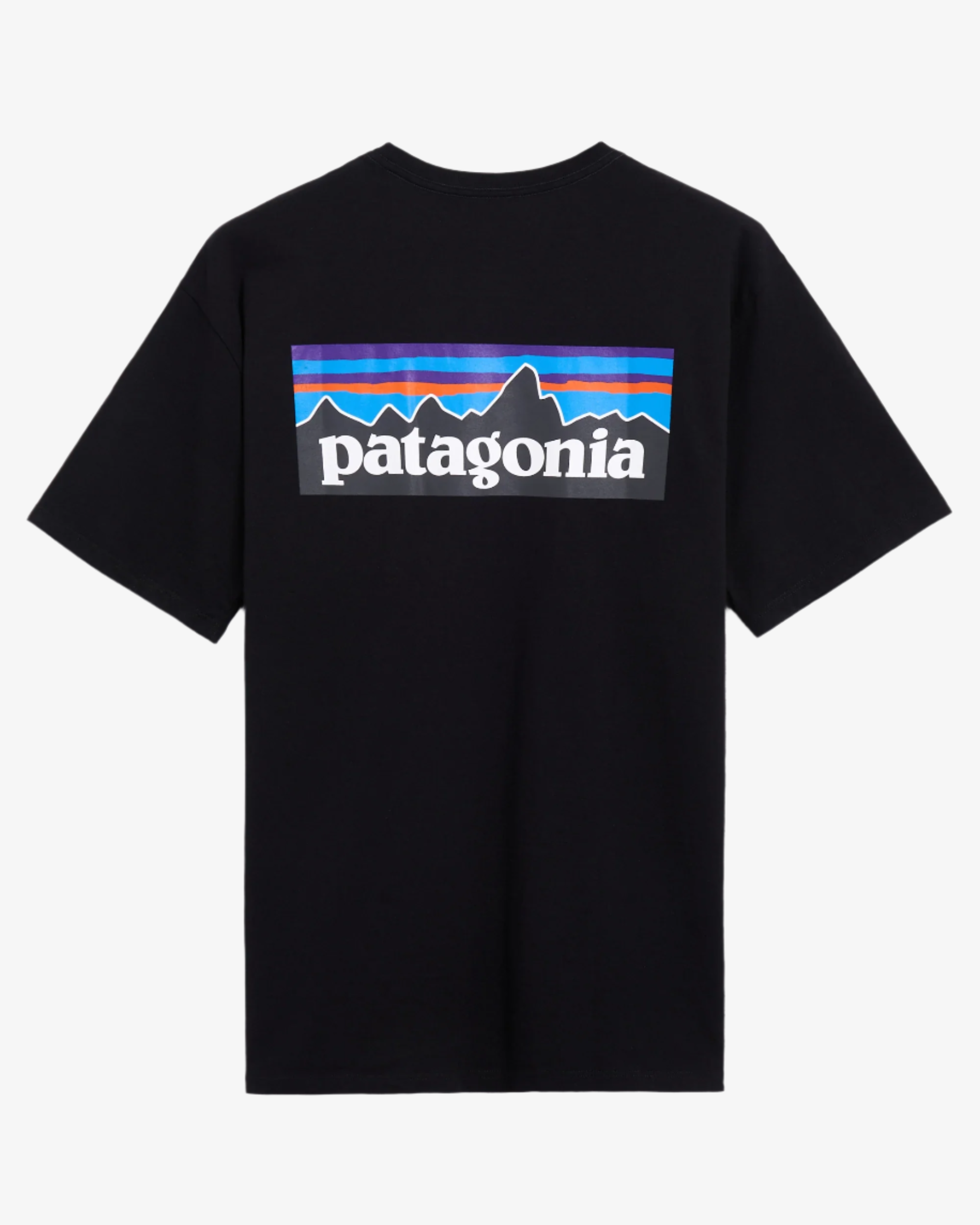 T-shirt Patagonia P-6 Logo