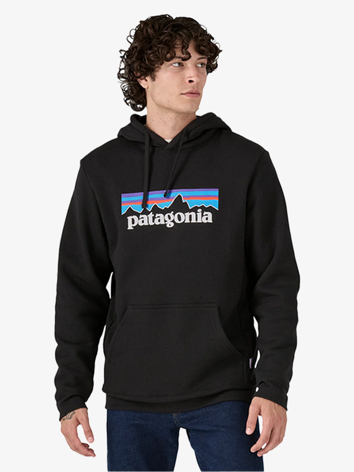 Hoodie Patagonia P-6 Logo