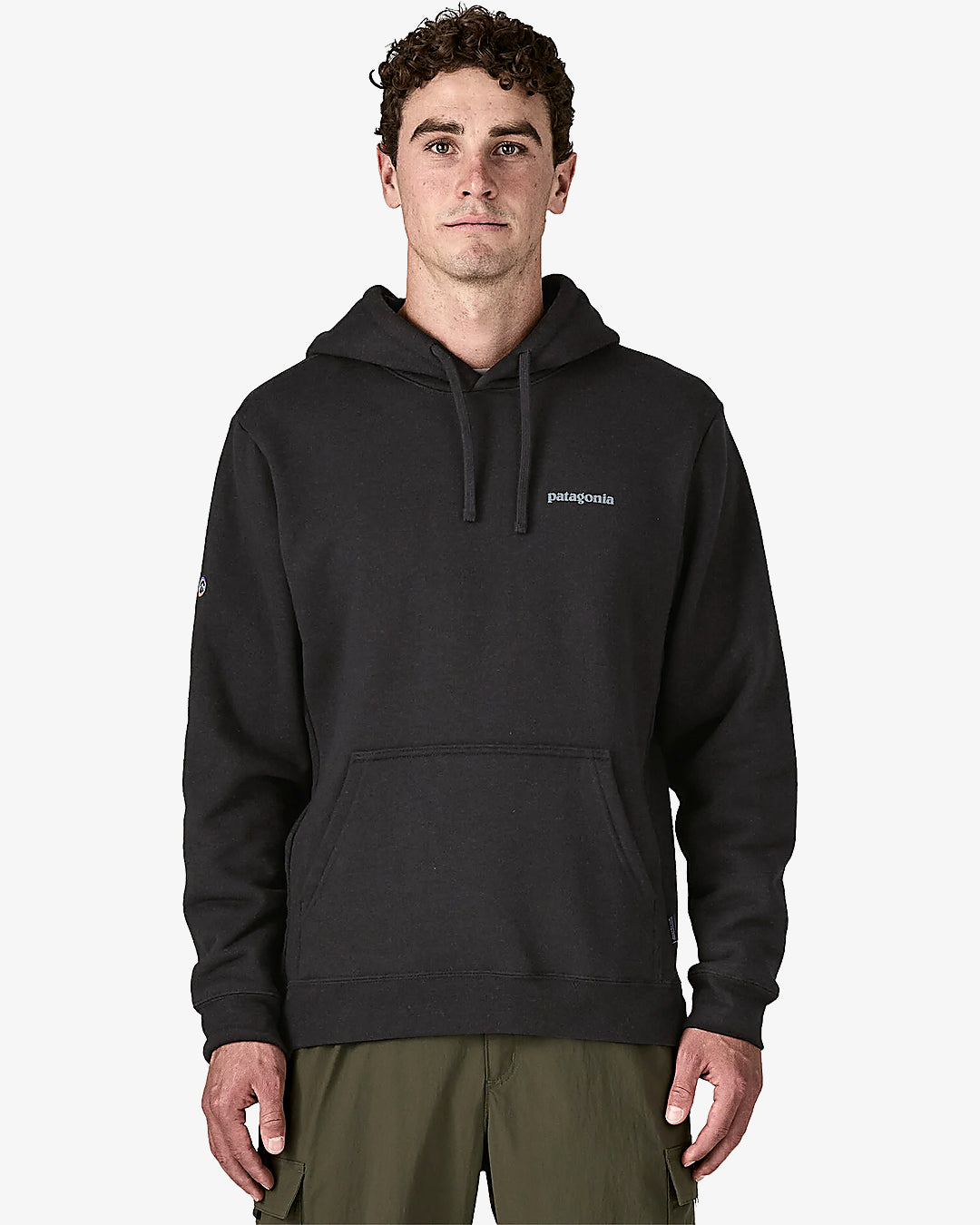 Hoodie Patagonia Fitz Roy