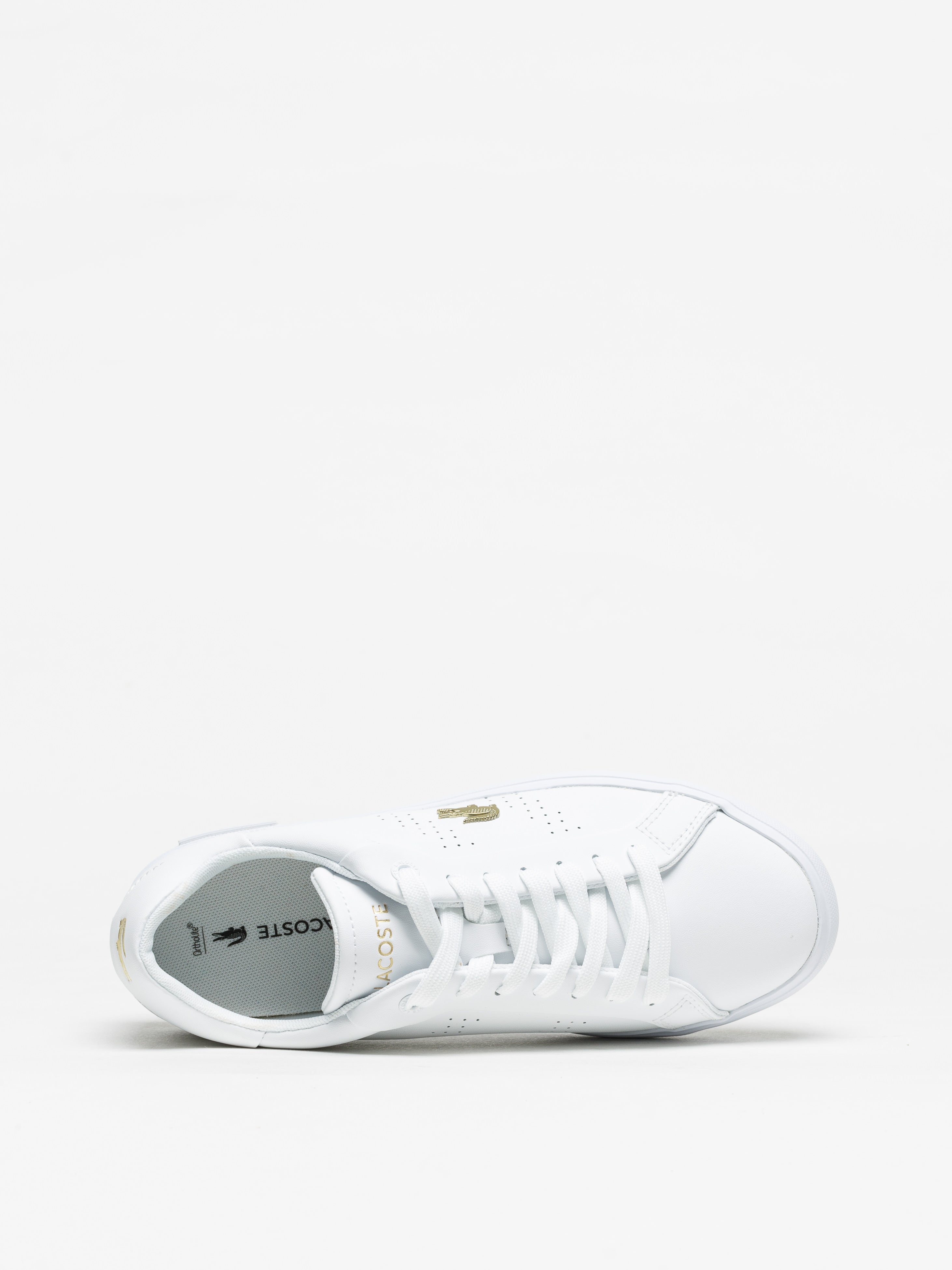 zapatillas Lacoste Powercourt