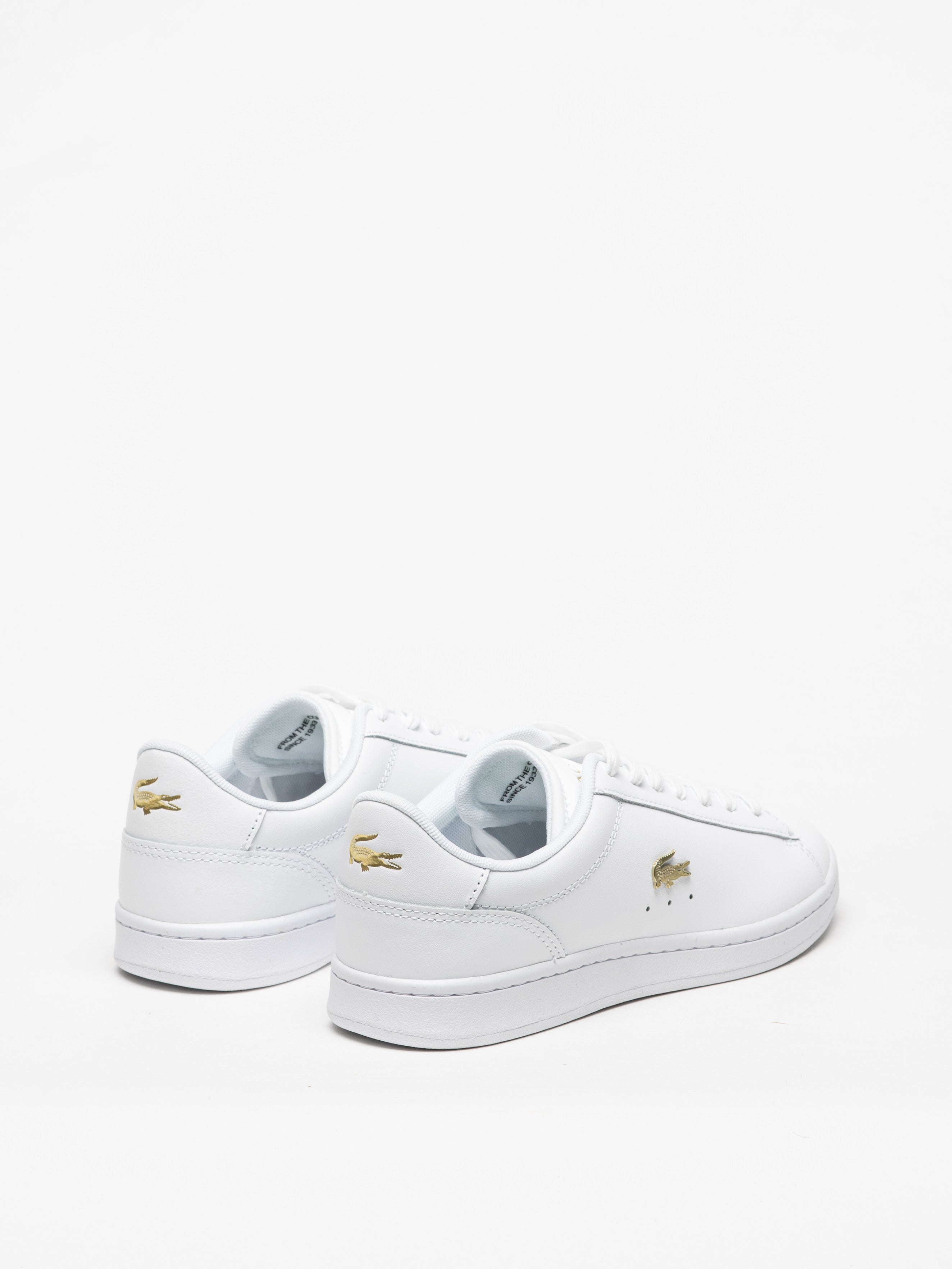 Sapatilhas Lacoste Carnaby Set 224