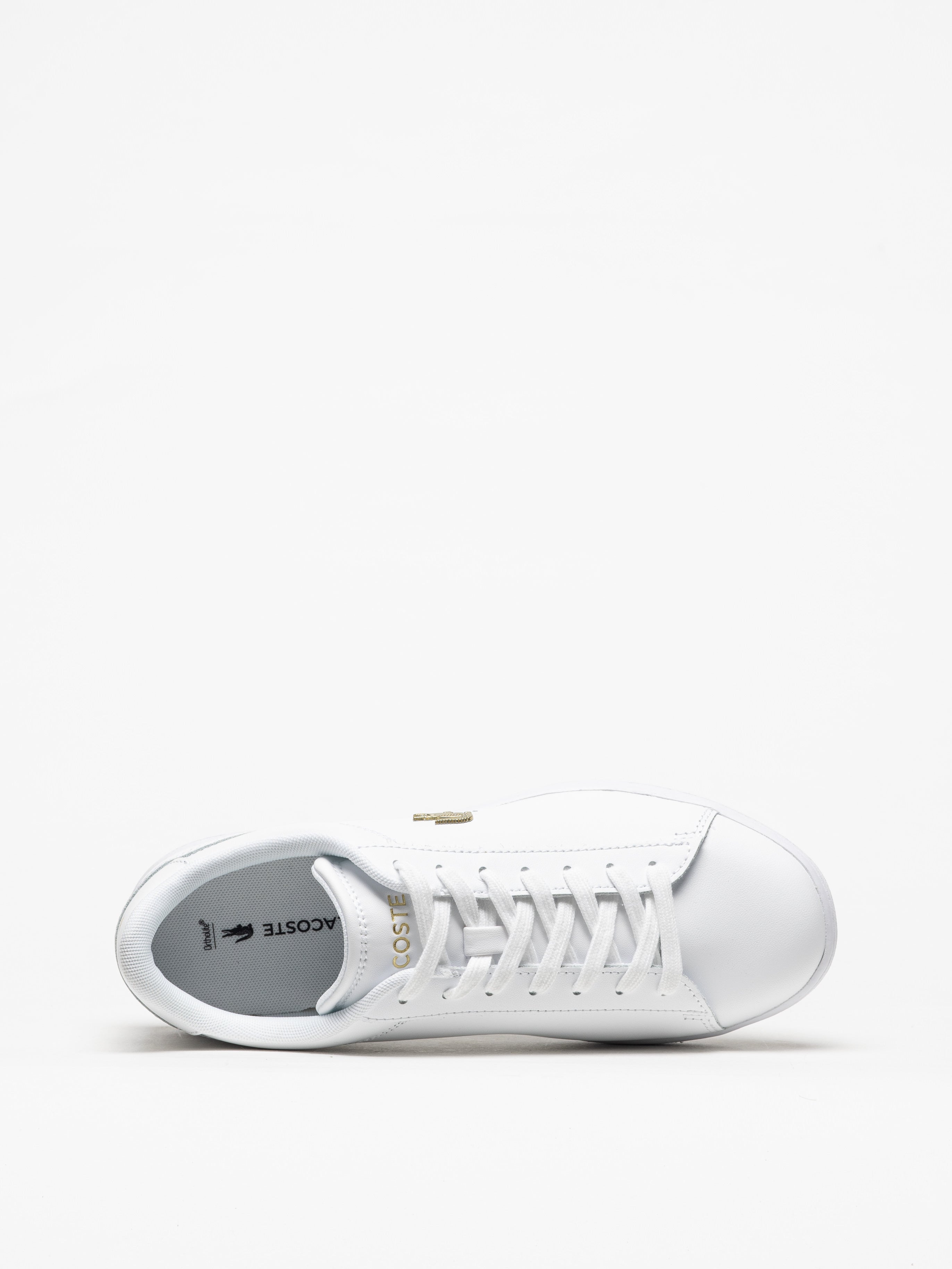 Sapatilhas Lacoste Carnaby Set 224