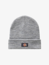 Dickies Gorro Gibsland