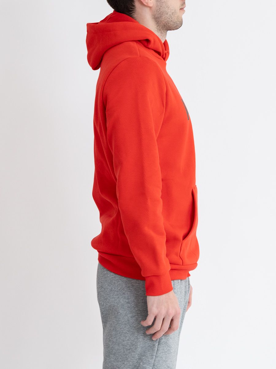 Hoodie Puma Big Logo